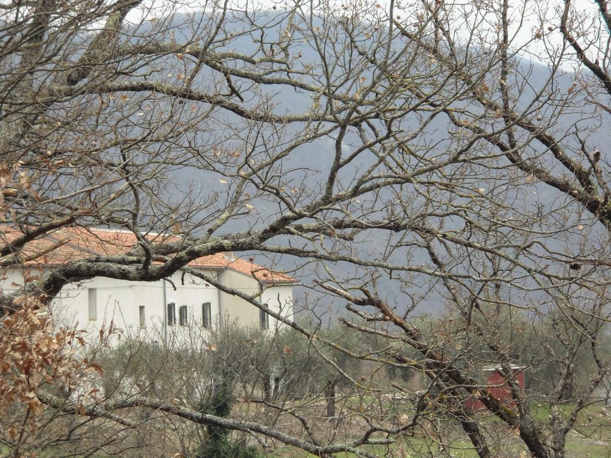 La Masseria Di Antonio E Teresina Colli a Volturno Exteriér fotografie