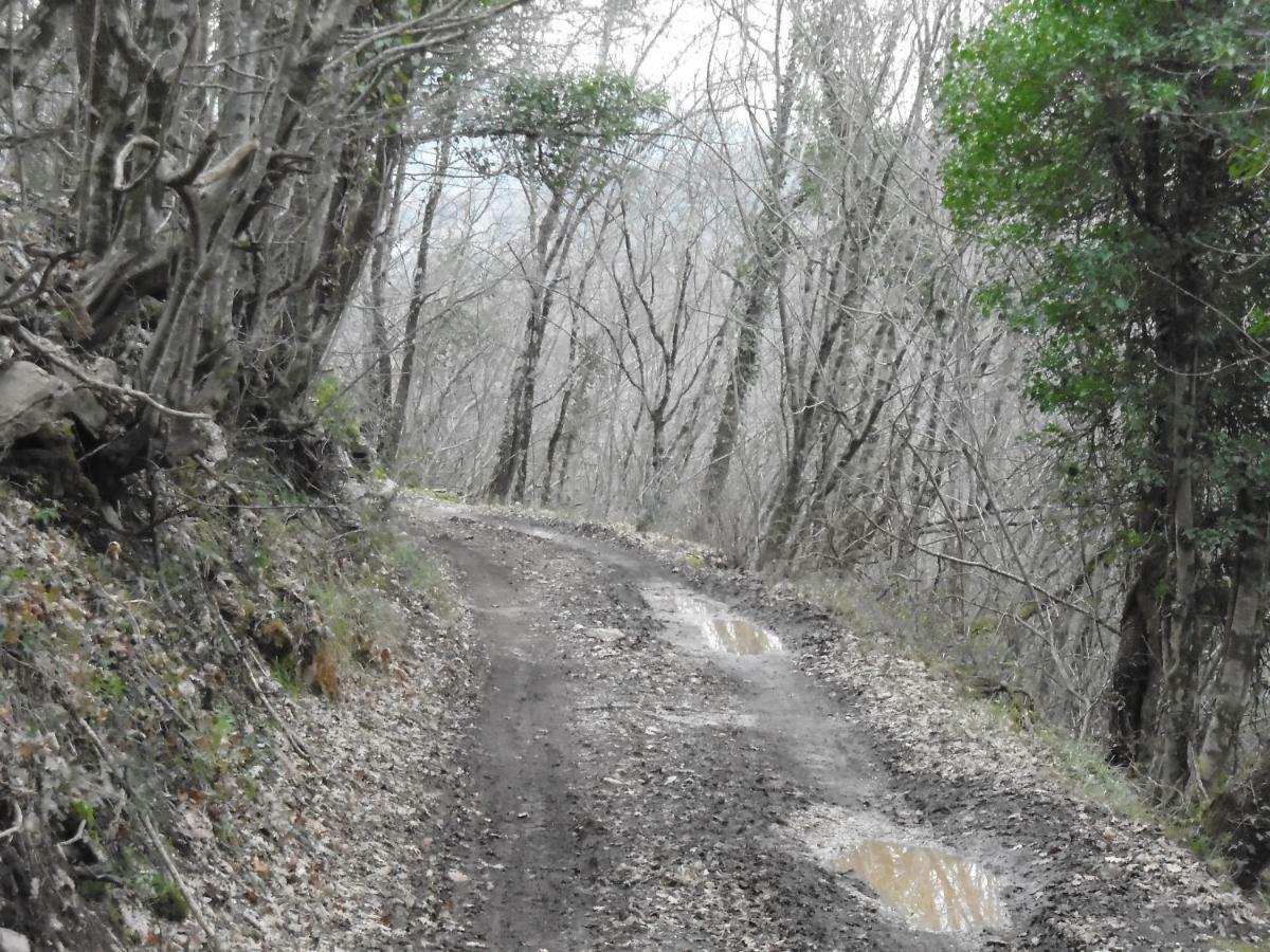 La Masseria Di Antonio E Teresina Colli a Volturno Exteriér fotografie