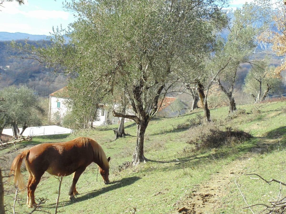 La Masseria Di Antonio E Teresina Colli a Volturno Exteriér fotografie