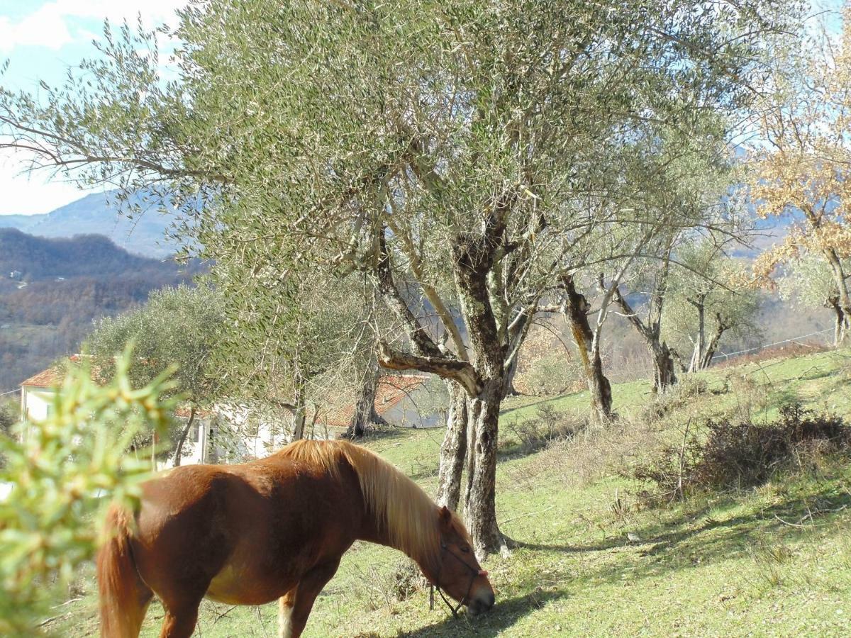 La Masseria Di Antonio E Teresina Colli a Volturno Exteriér fotografie