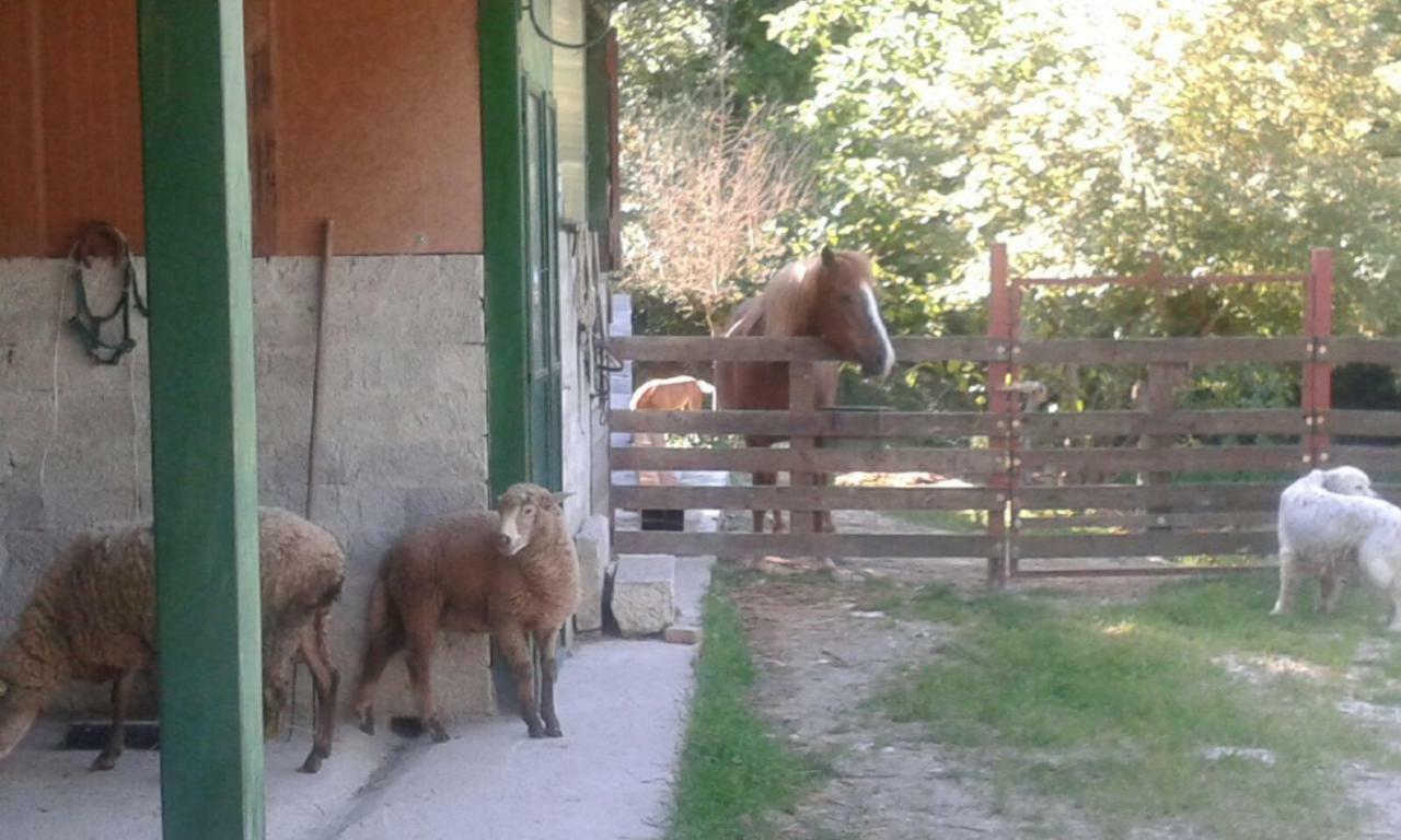 La Masseria Di Antonio E Teresina Colli a Volturno Exteriér fotografie