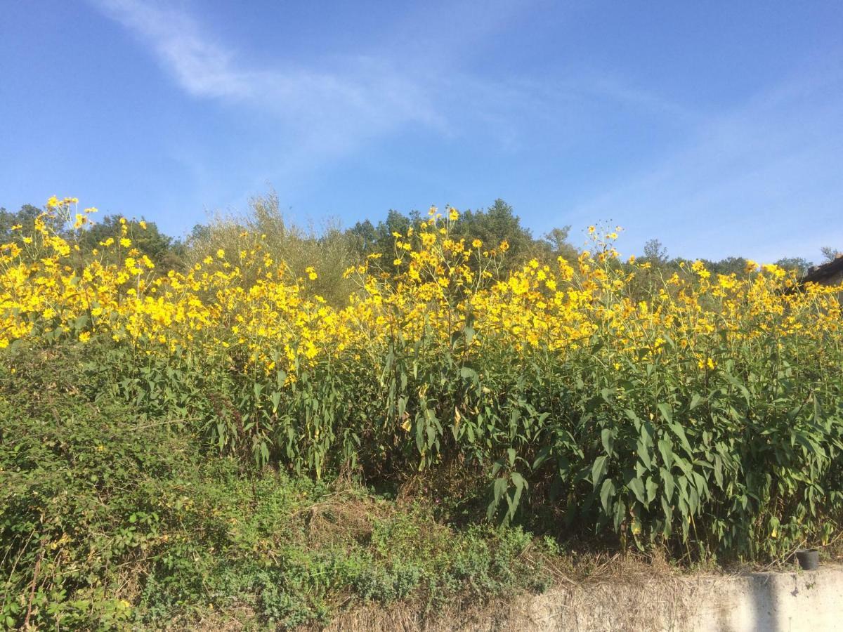 La Masseria Di Antonio E Teresina Colli a Volturno Exteriér fotografie